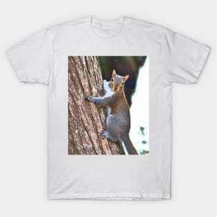 Climbing Up The Tree T-Shirt